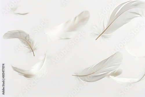 Close up of a feathers floating in the air in white background