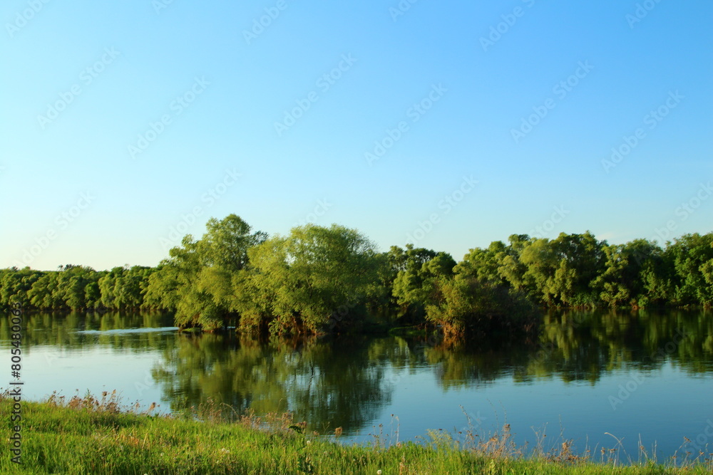 A body of water with trees in the background A body of water with trees in the background