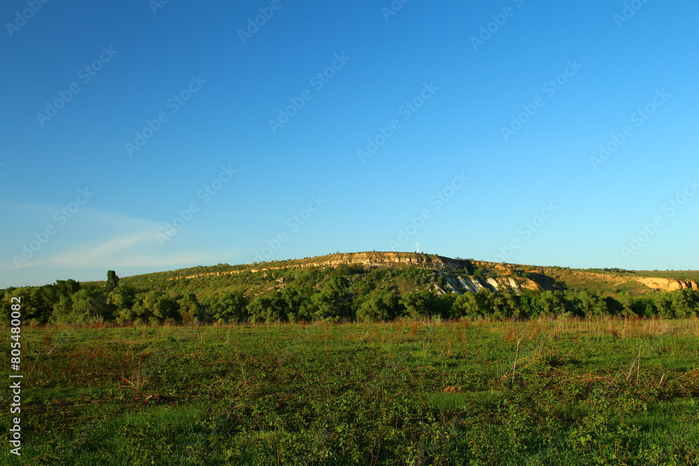 Fototapeta premium A grassy hill with trees and blue sky
