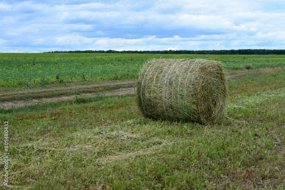 a large hay bale is in a field with clouds in the background 