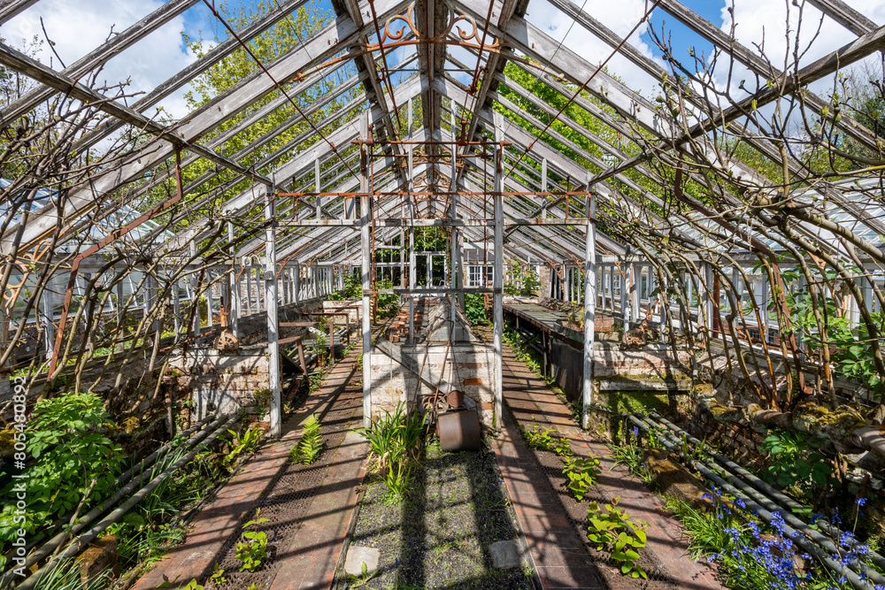 derelict greenhouse