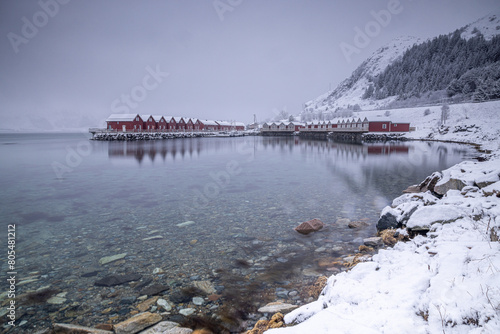 Lofoten - Mortsund photo