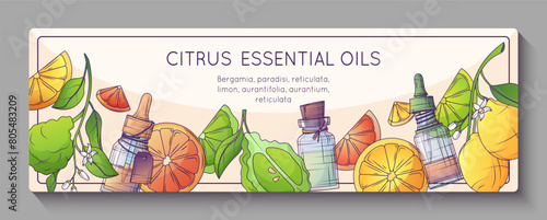 Vector illustration of background with citrus fruits, essential oil bottles. Orange essential oil. For poster design, promo banner and cosmetic flyer, perfumery, aromatherapy.