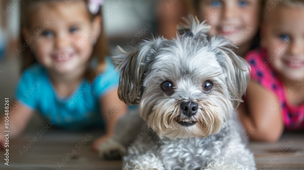 Two girls and a white dog lie on the floor in front of a wooden table A dog sits on the table Two girls and a white dog lie on the floor in front of a wooden table A dog sits on the table