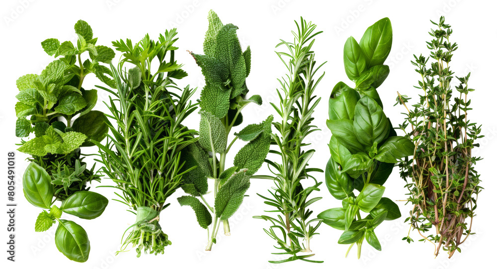 Fresh herb bundles of basil, rosemary, and thyme isolated on transparent background Fresh herb bundles of basil, rosemary, and thyme isolated on transparent background