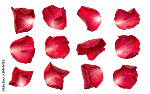Set of red rose petals, cut out