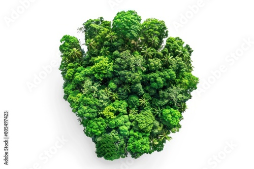 Trees and vegetation in the shape of a fist. Top view on a white background. Ecology concept