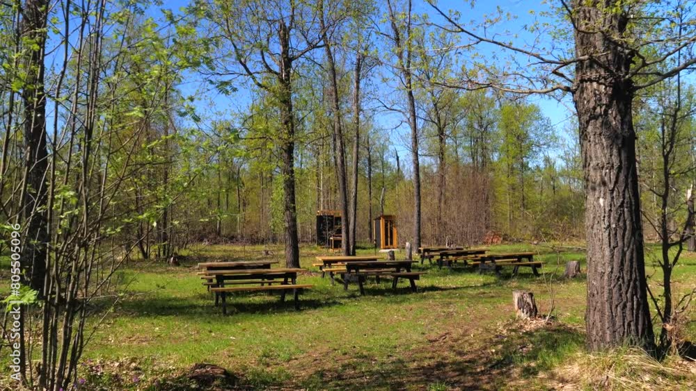 Development of the territory of the fishing lake. Spring nature. Family vacation Development of the territory of the fishing lake. Spring nature. Family vacation
