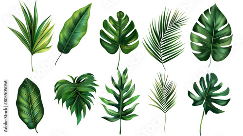 Collezione di foglie verdi di piante tropicali su sfondo neutro