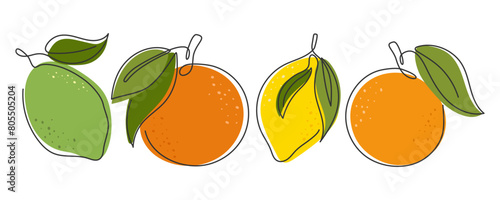 Orange, lemon, lime, grapefruit isolated on white. Continuous line drawn tropical fruit. Healthy fresh whole citrus set. Hand drawn illustration. Element for design