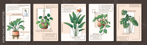 Houseplants care infographic. Vector illustration of monstera, strelitzia, pothos, aglaonema, pilea. Design of houseplant poster. Flower shop, home garden concept.	 photo