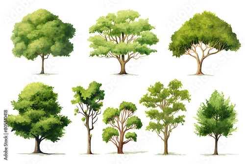 set of green trees and bushes on a white background