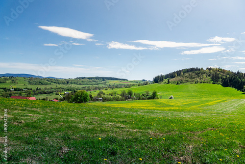 Grassy Field With Hill in Background