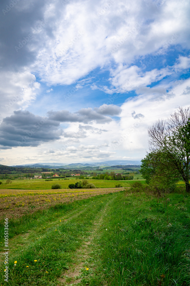 Fototapeta premium Dirt Road Cutting Through Lush Green Field