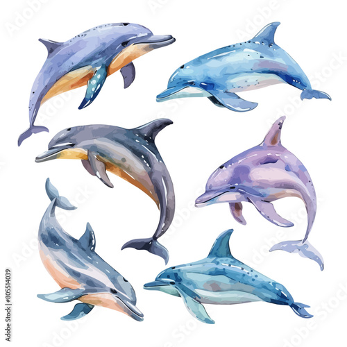 Watercolor painting of dolphin set  isolated on a white background  dolphin vector  drawing clipart  Illustration Vector  Graphic Painting  design art  logo