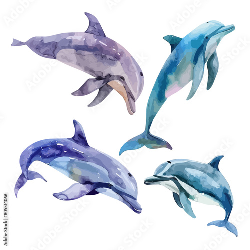 Watercolor vector of dolphins set  isolated on a white background  design art  drawing clipart  Illustration painting  Graphic logo  dolphin vector 