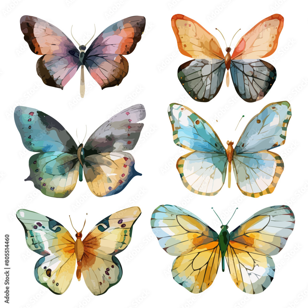 Watercolor Vector painting of butterfly set, isolated on a white ...