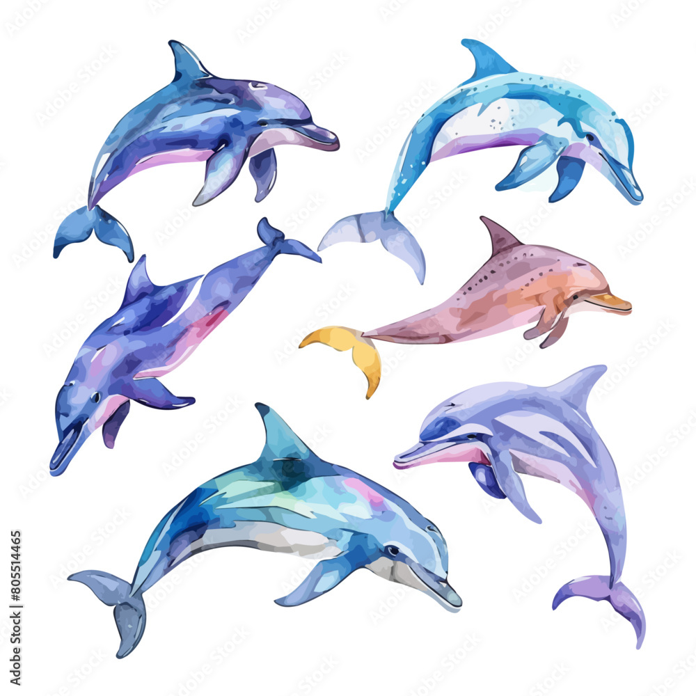 Watercolor painting vector of dolphin set, isolated on a white ...