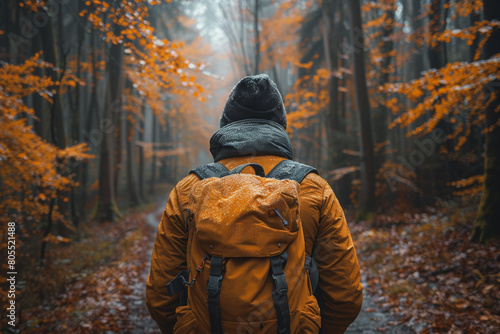 A hiker in an orange jacket stands with their back turned, facing the beauty of an autumnal forest cloaked in mist and mystery