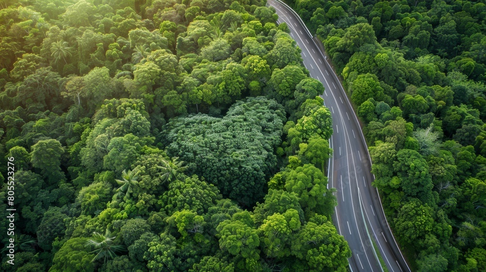 A Road Through Earth's Green Heart. Concept Environment. A Road Through Earth's Green Heart. Concept Environment.