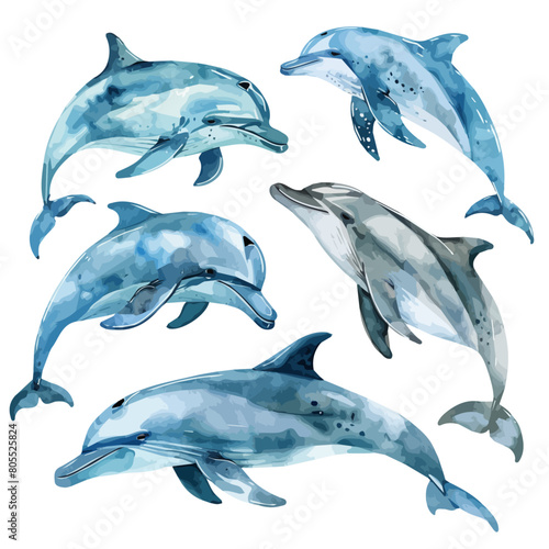 Watercolor Vector painting of dolphin set  isolated on a white background  dolphin set vector  dolphin set clipart  dolphin set art  dolphin set painting  dolphin set Graphic  drawing clipart.