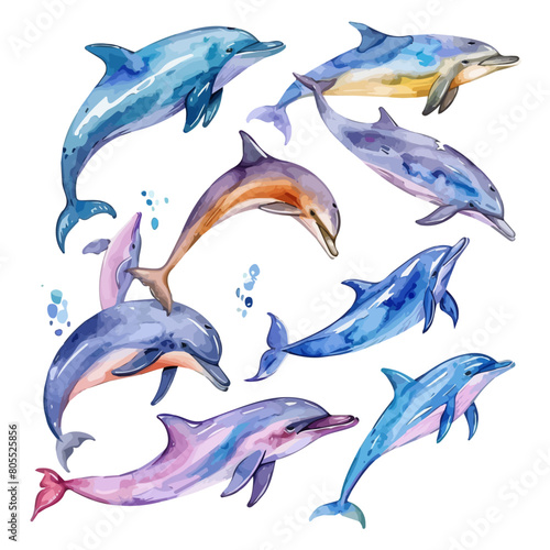 Watercolor Illustration of dolphins set collection  isolated on a white background  design art  clipart image  Graphic logo  drawing clipart  dolphin set vector  Illustration painting.