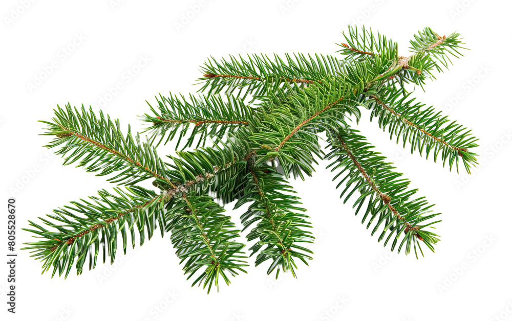 Christmas tree branches on white background,png Christmas tree branches on white background,png