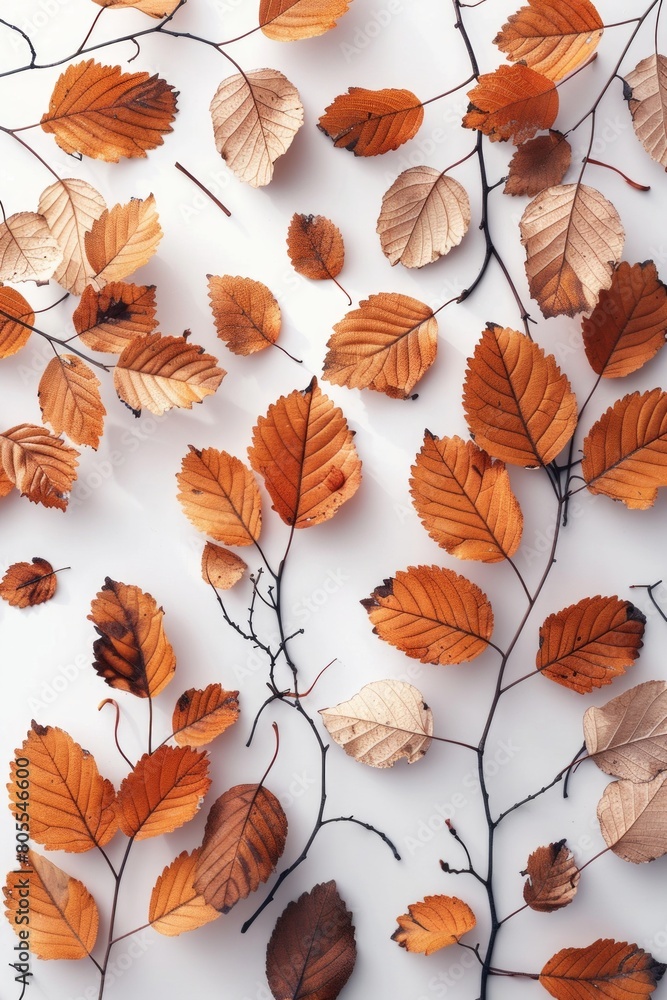 A vibrant flat lay of autumn leaves, showcasing a spectrum of fall colors and textures. A vibrant flat lay of autumn leaves, showcasing a spectrum of fall colors and textures.