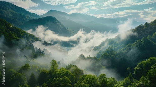 Amazing nature scenery, mountains under morning mist