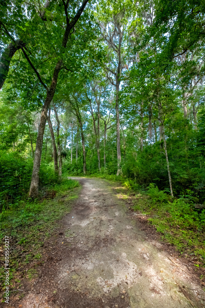 Walking Trail, Silver Springs State Park, Florida Walking Trail, Silver Springs State Park, Florida
