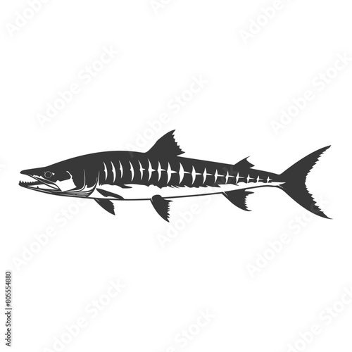 Silhouette Barracuda animal black color only