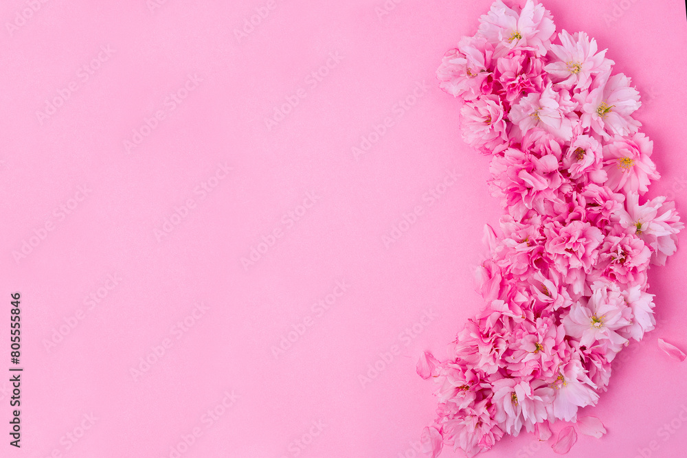 spring background pink cherry flowers