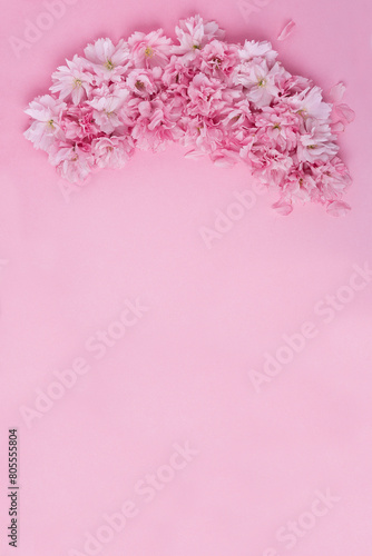 spring background pink cherry flowers