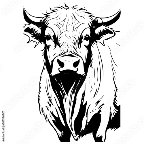 Beefalo portrait hand drawn animal illustration, transparent background vector image photo