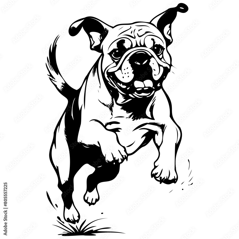 Isolated Bulldog jump black hand drawn animal illustration, transparent background