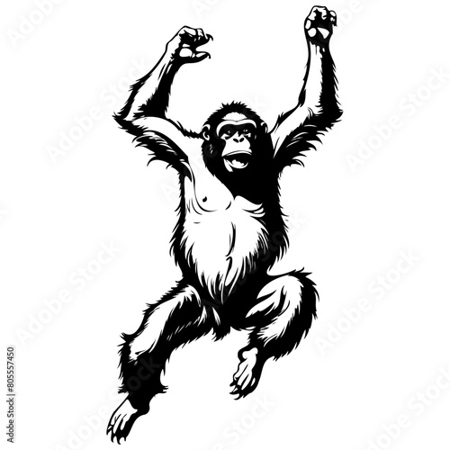Vintage Bornean Orangutan jump vector hand drawn animal illustration, transparent background