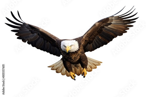 Bald Eagle in Flight on Transparent Background photo