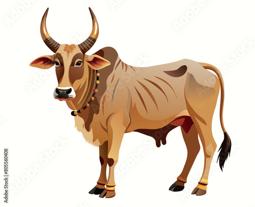 Indian bull of the Khilari breed