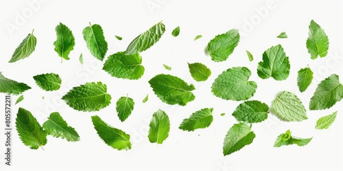 Fresh green leaves scattered on a white background. Ideal for nature or environmental concepts