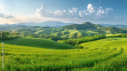 Field With Grass and Flowers Under Blue Sky