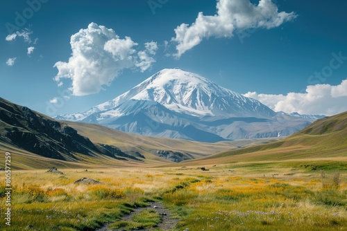 A picturesque view of a snow capped mountain in the distance. Suitable for various outdoor and nature-themed projects