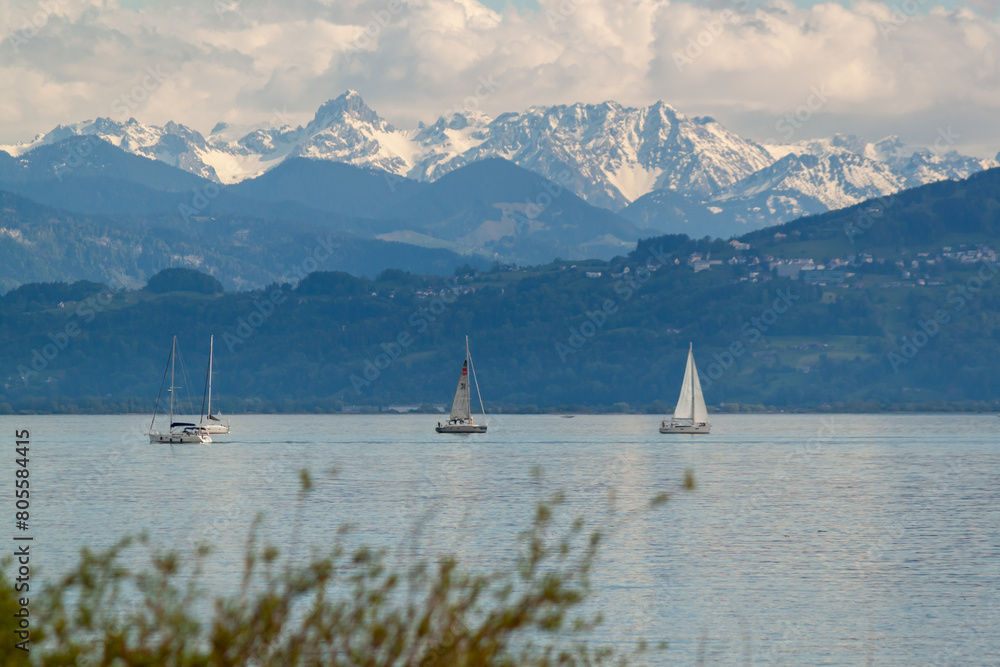 Naklejka premium Panoramic view of the Alps from the German coast of Bodensee
