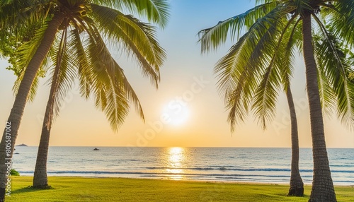 tropical palm tree and sea sunset summer background