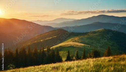 carpathian mountain range in summer at sunset landscape with forested hills and grassy meadows rolling down in to the valley in evening light travel ukraine © Charlotte
