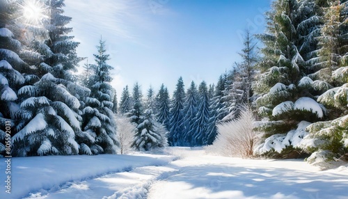 a wide format christmas background image showcasing a serene snowy forest filled with christmas trees creating a tranquil and magical winter landscape photorealistic illustration © Charlotte
