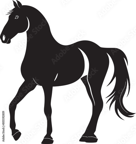 Horse Breeds Infographic Vector Art of Equine Diversity