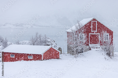 Lofoten - Mortsund photo