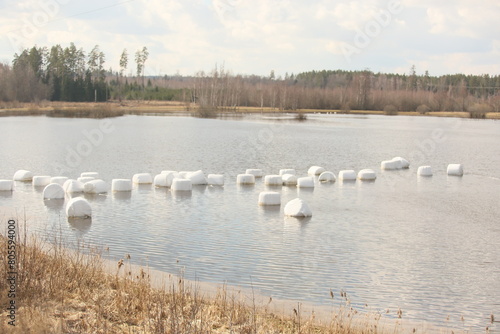 Packed hay rolls in white plastic on a flooded field