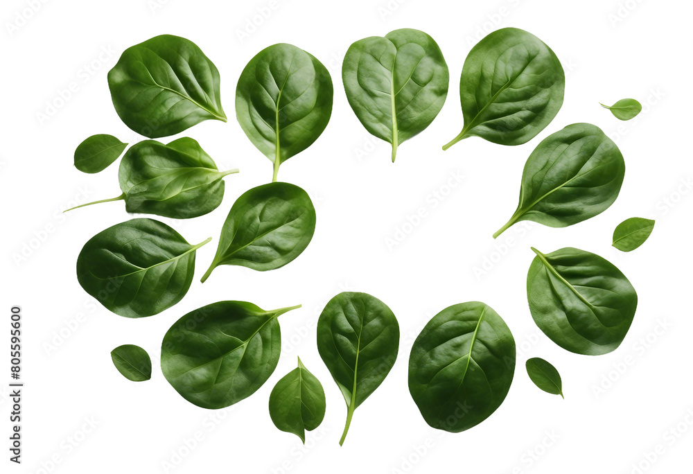Frame made of spinach leaves isolated on transparent background