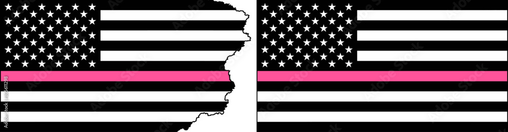 The pink line flags vector. Standard flag and with torn edges